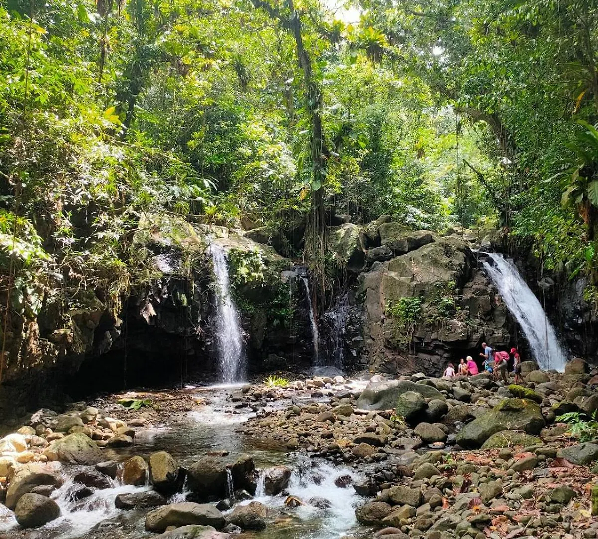 Apartmán Ti-Chalet 2 Pers Petit-Bourg Guadeloupe